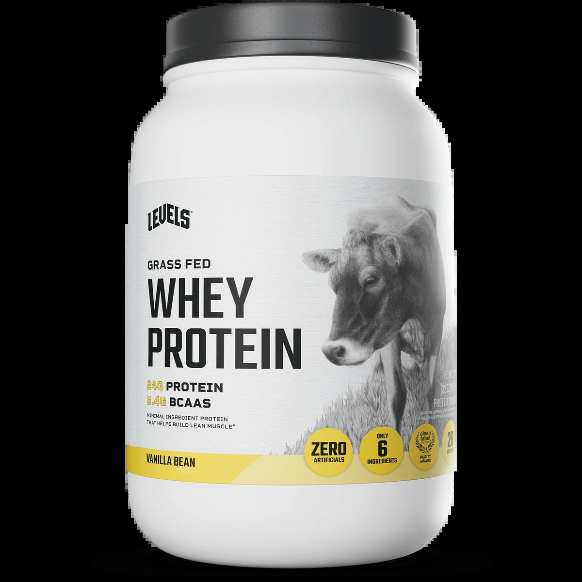 Whey Protein