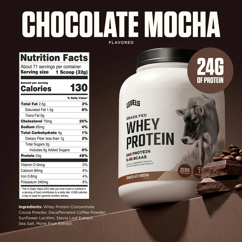 Whey Protein