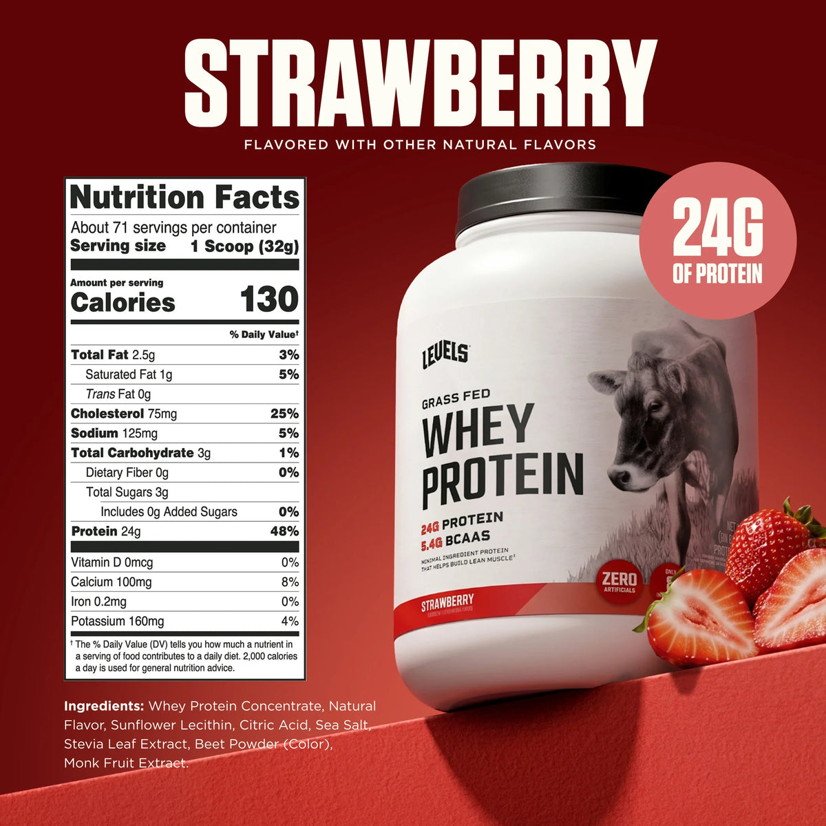 Whey Protein