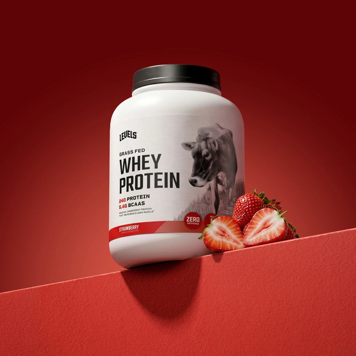 Whey Protein