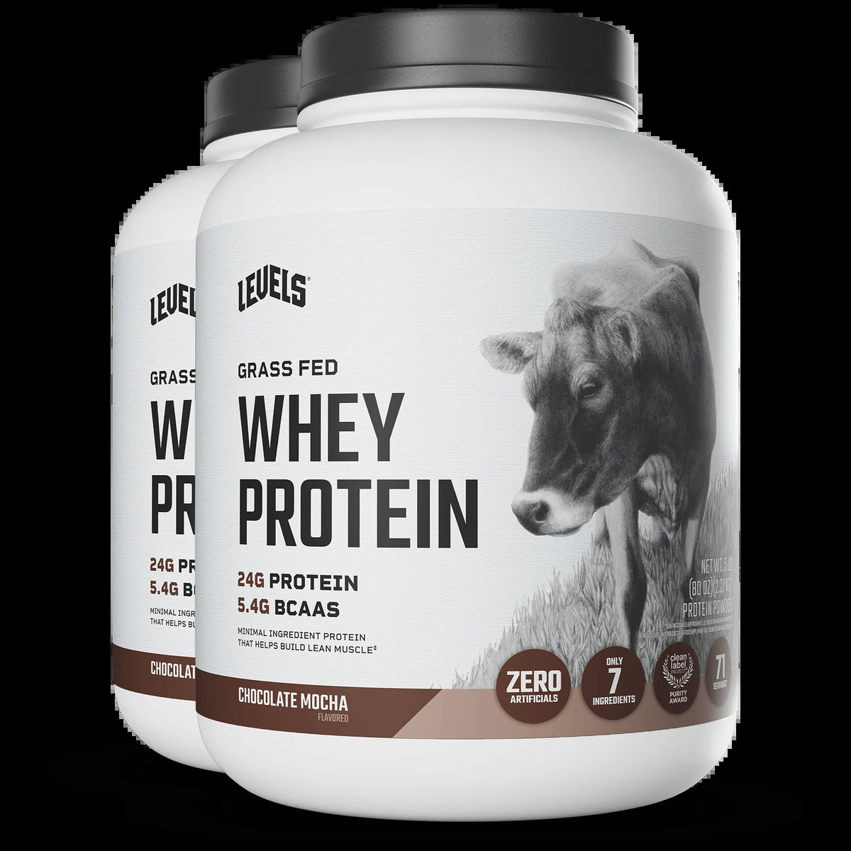 Whey Protein