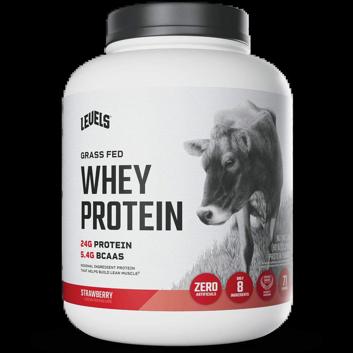 Whey Protein