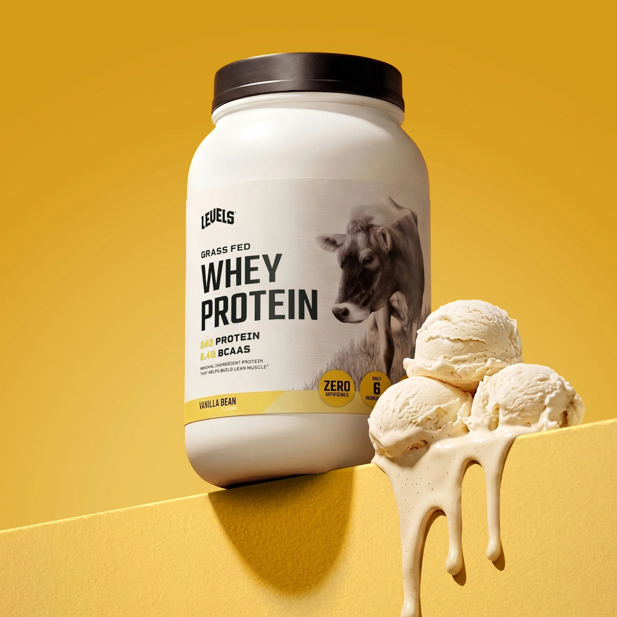 Whey Protein