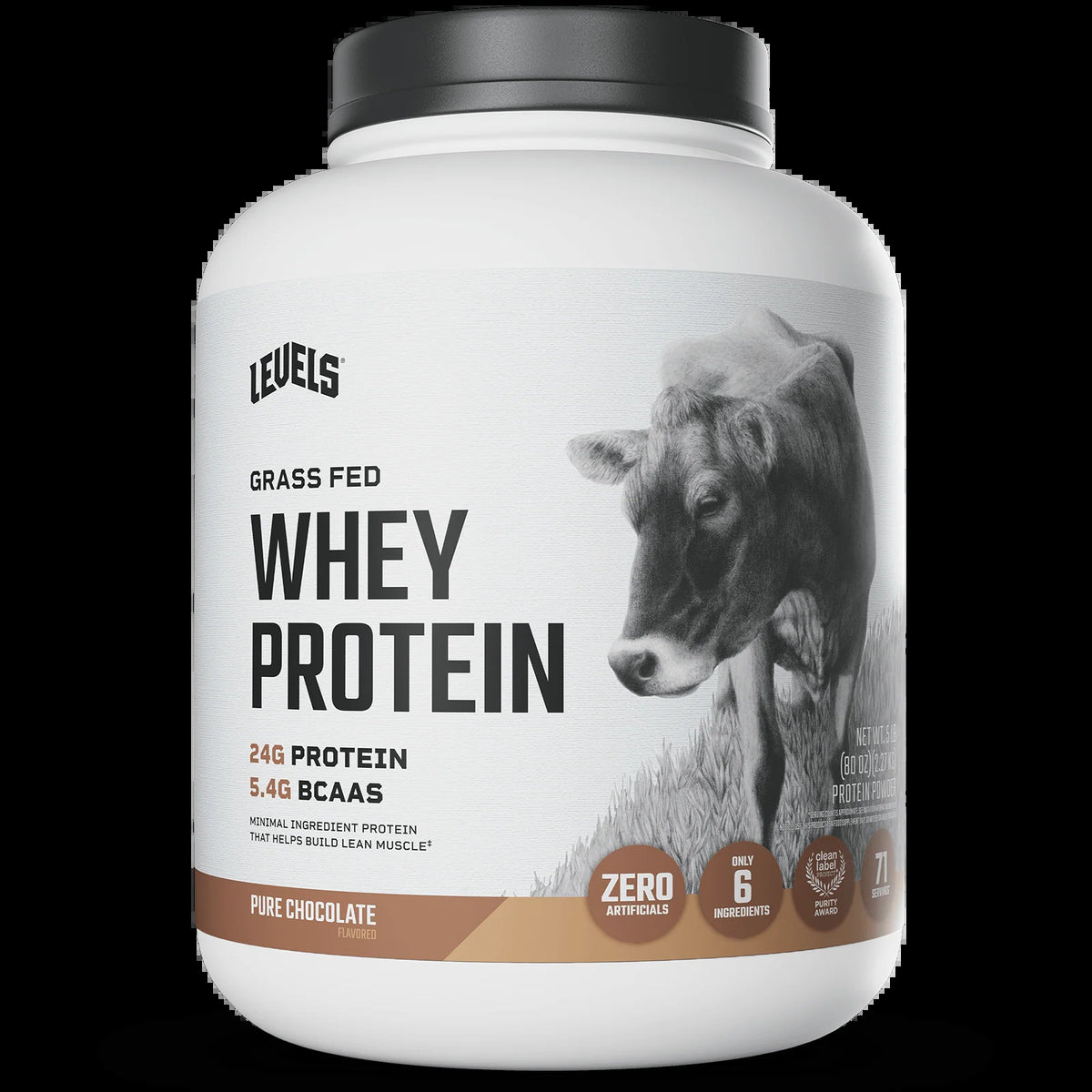 Whey Protein