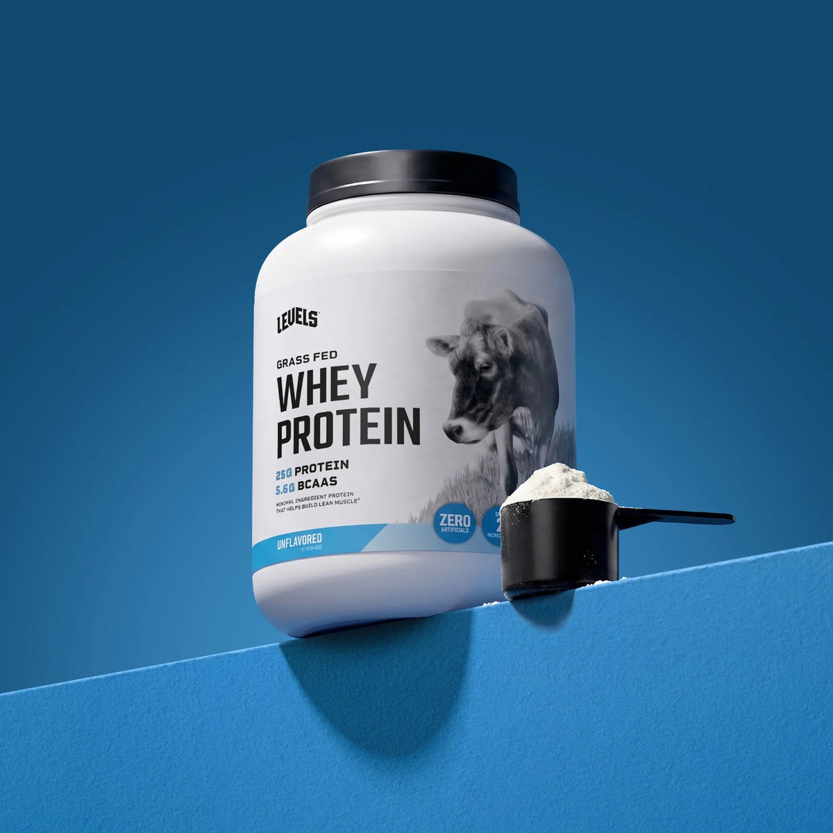 Whey Protein