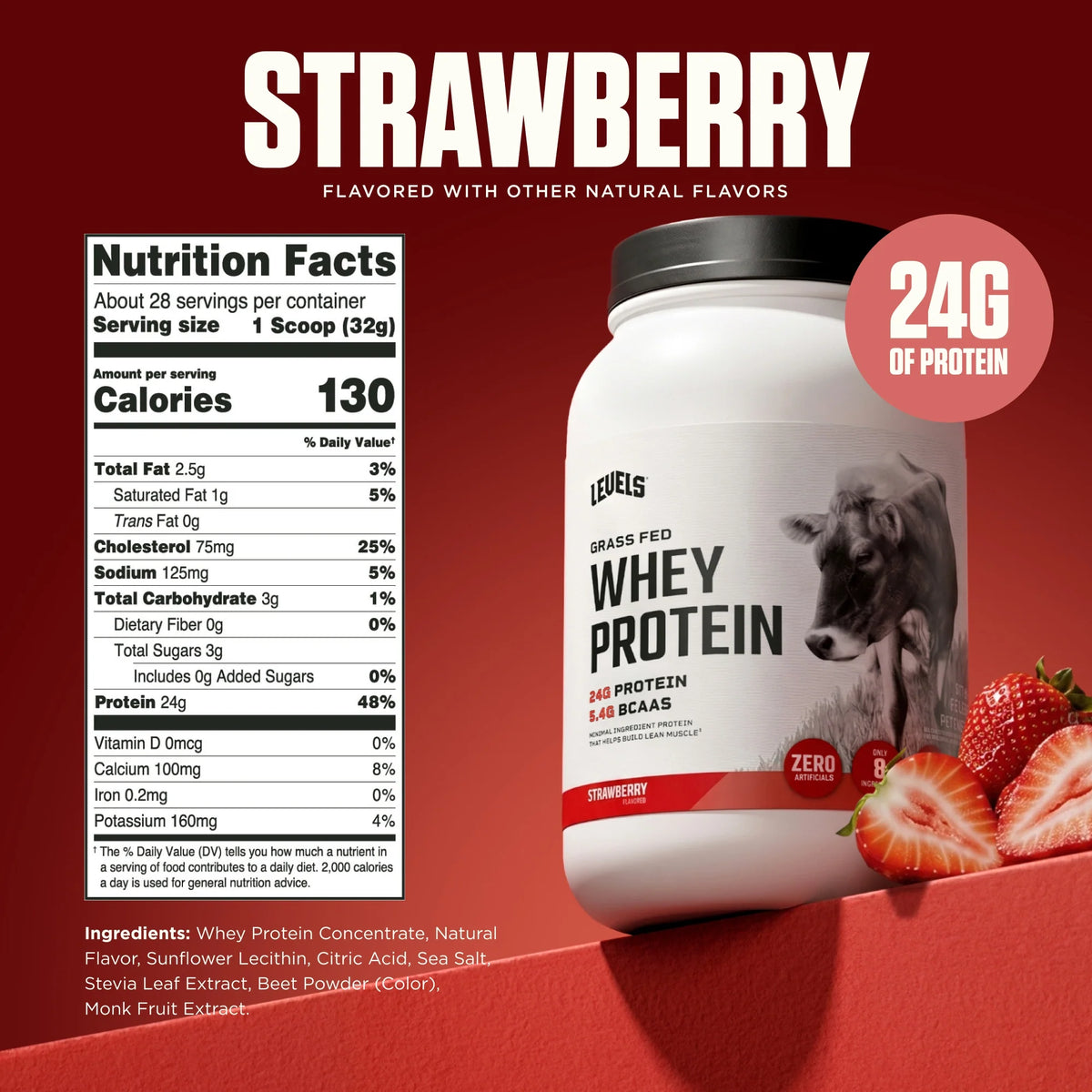 Whey Protein
