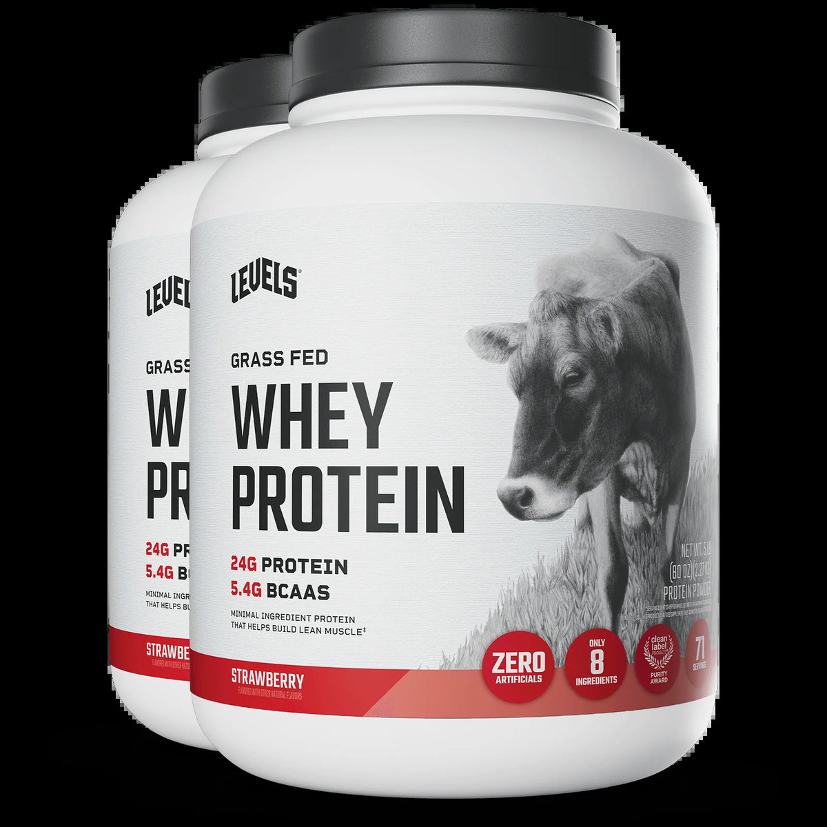 Whey Protein