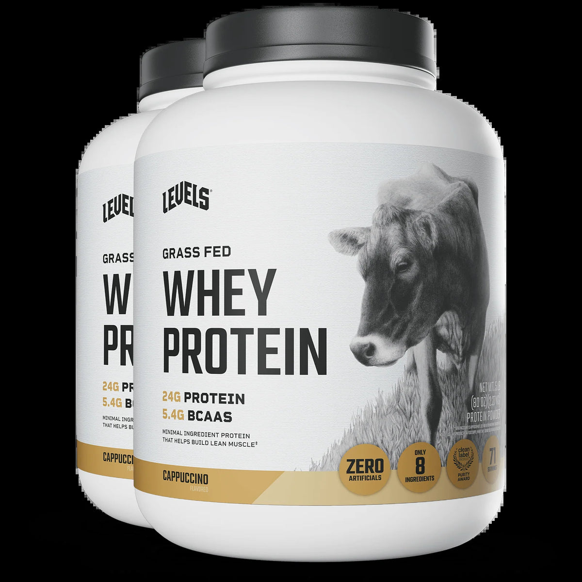 Whey Protein